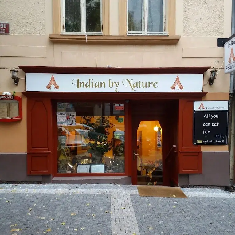 A Tasty Vegetarian Treat Once Again -Yummy as It Was-Indian Food in Europe